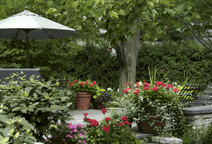 wilmette-il-private-patio patio-living-privacy-screen