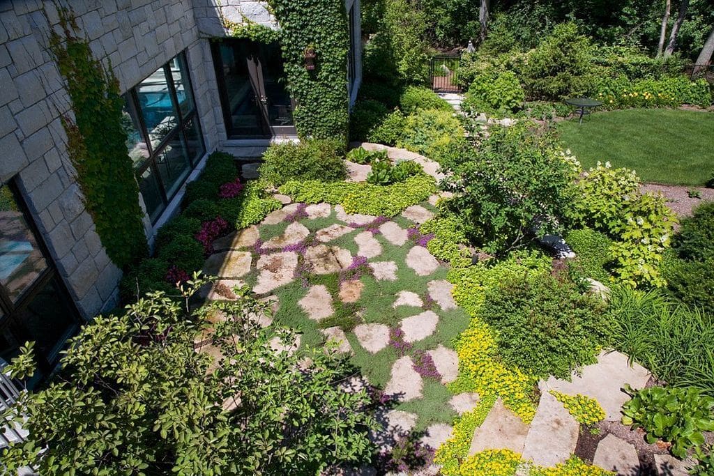 Low maintenance alternative to lawns