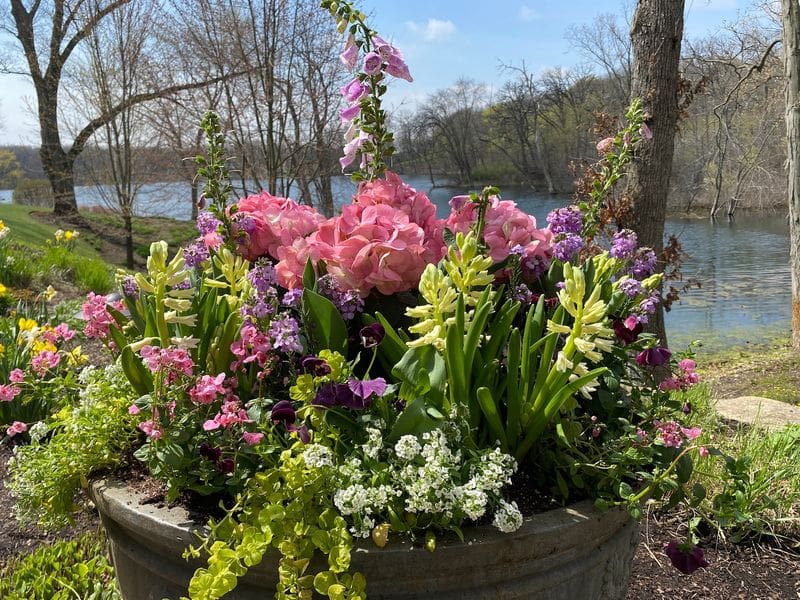 Early Spring Planting Ideas