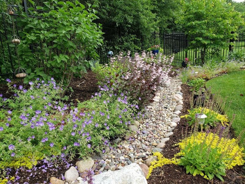 How to Fix Backyard Drainage Problems The Right Way