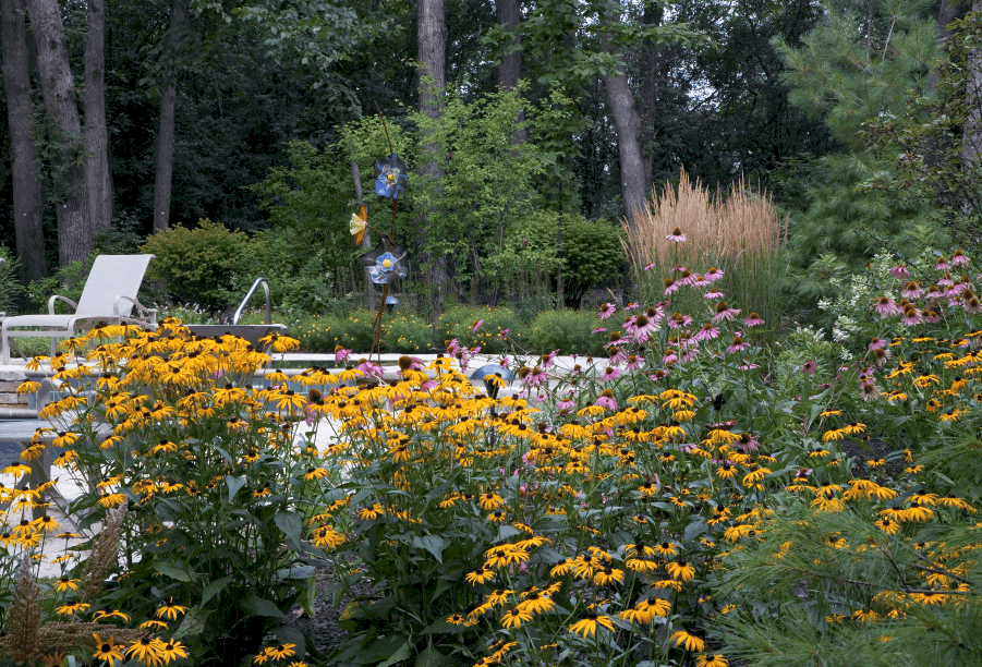 Illinois-Friendly Flowers