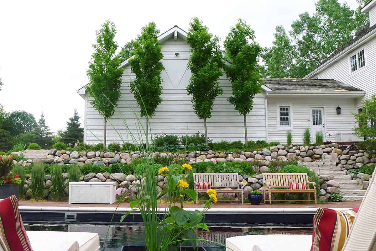 columnar-trees-along-house