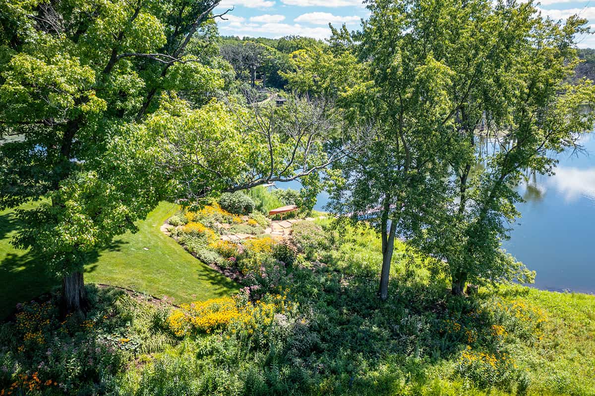natural planting area around lake in barrington il