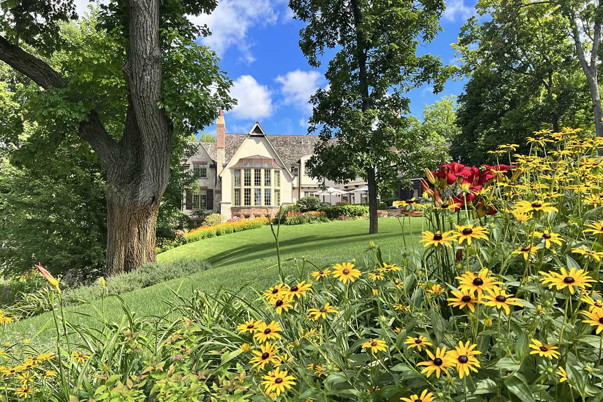 lush lawn with planting area