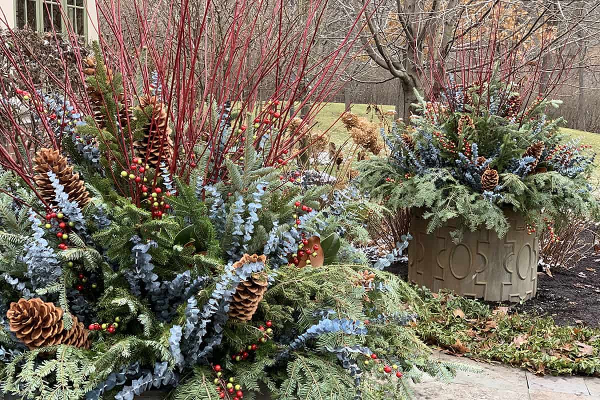 Seasonal Containers With Red Twigged Dogwood