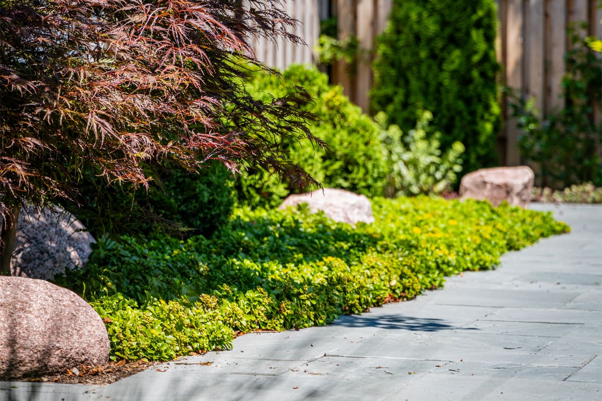 detail of bluestone walkway with garden bed