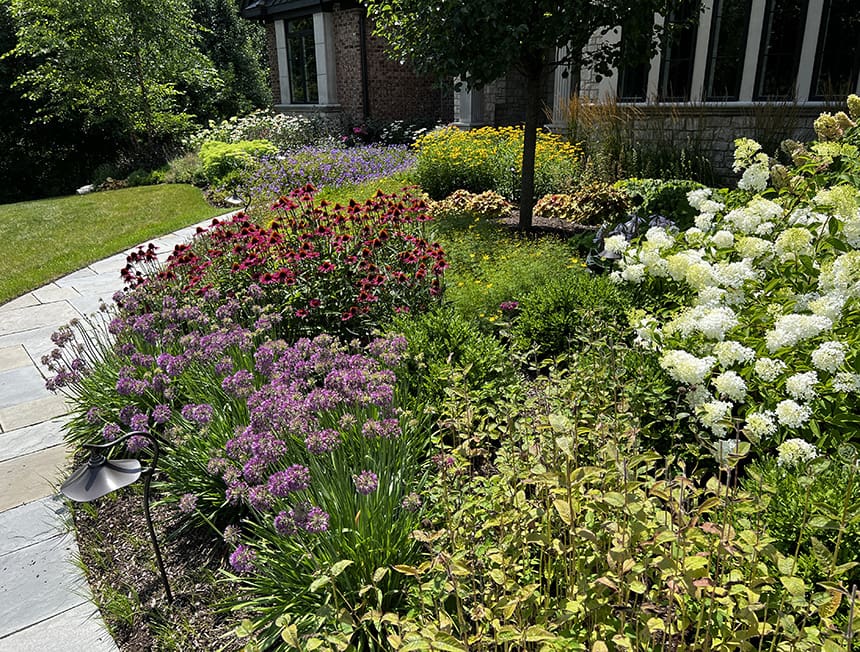 Completed front landscape design in Kildeer, Illinois, featuring layered perennial plantings, curved stone walkway, and refined entry landscaping at a custom home.