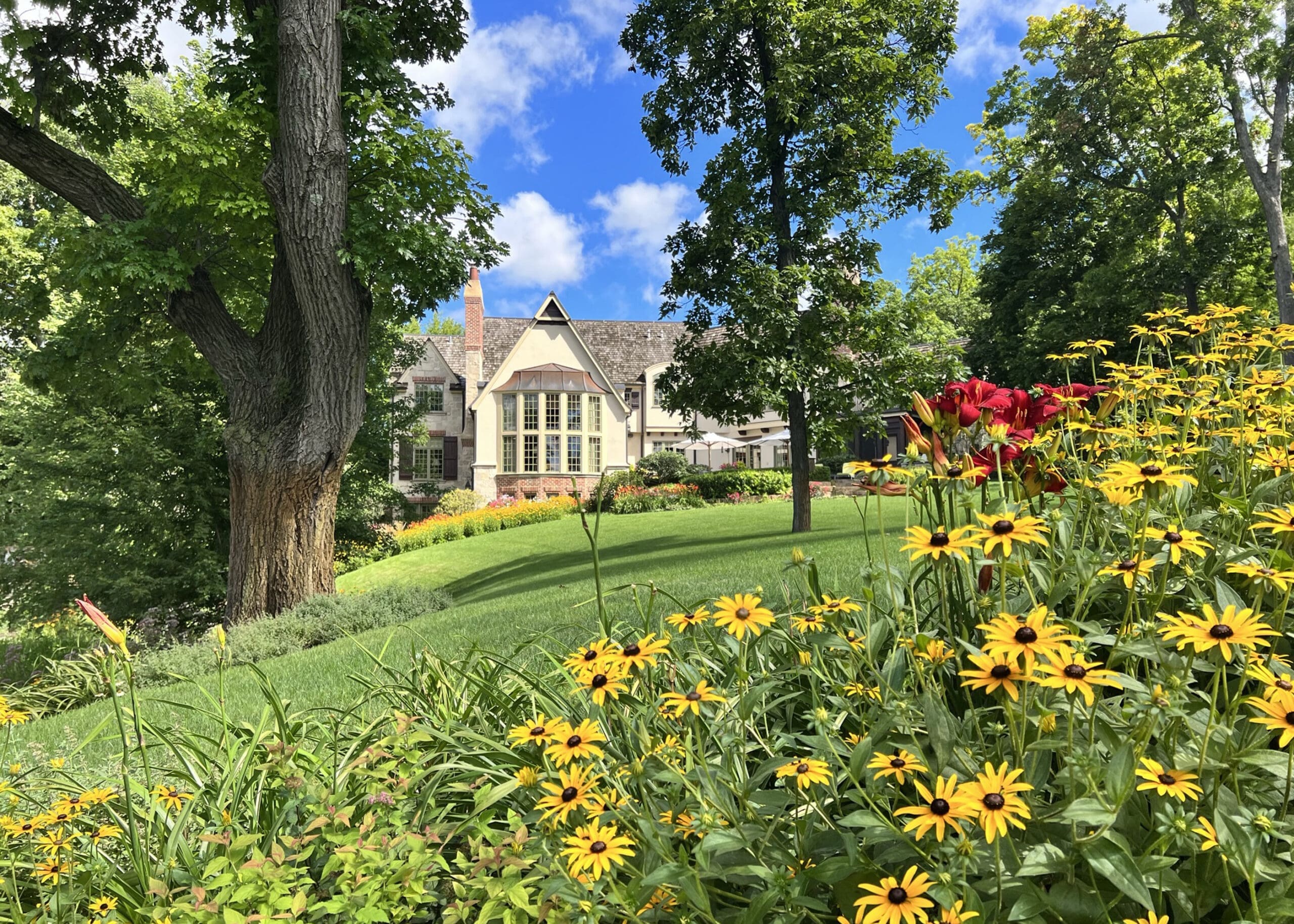 landscape design north shore