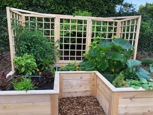 raised beds for vegetables