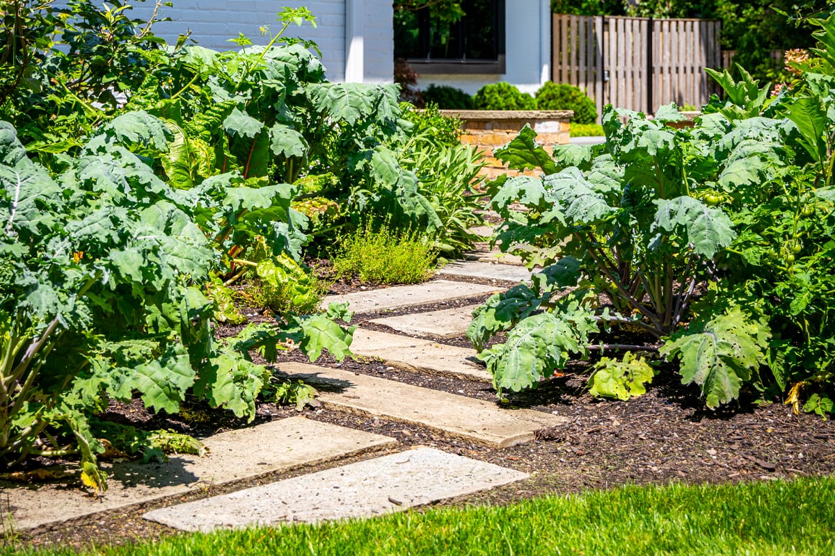 steppers to vegetable garden