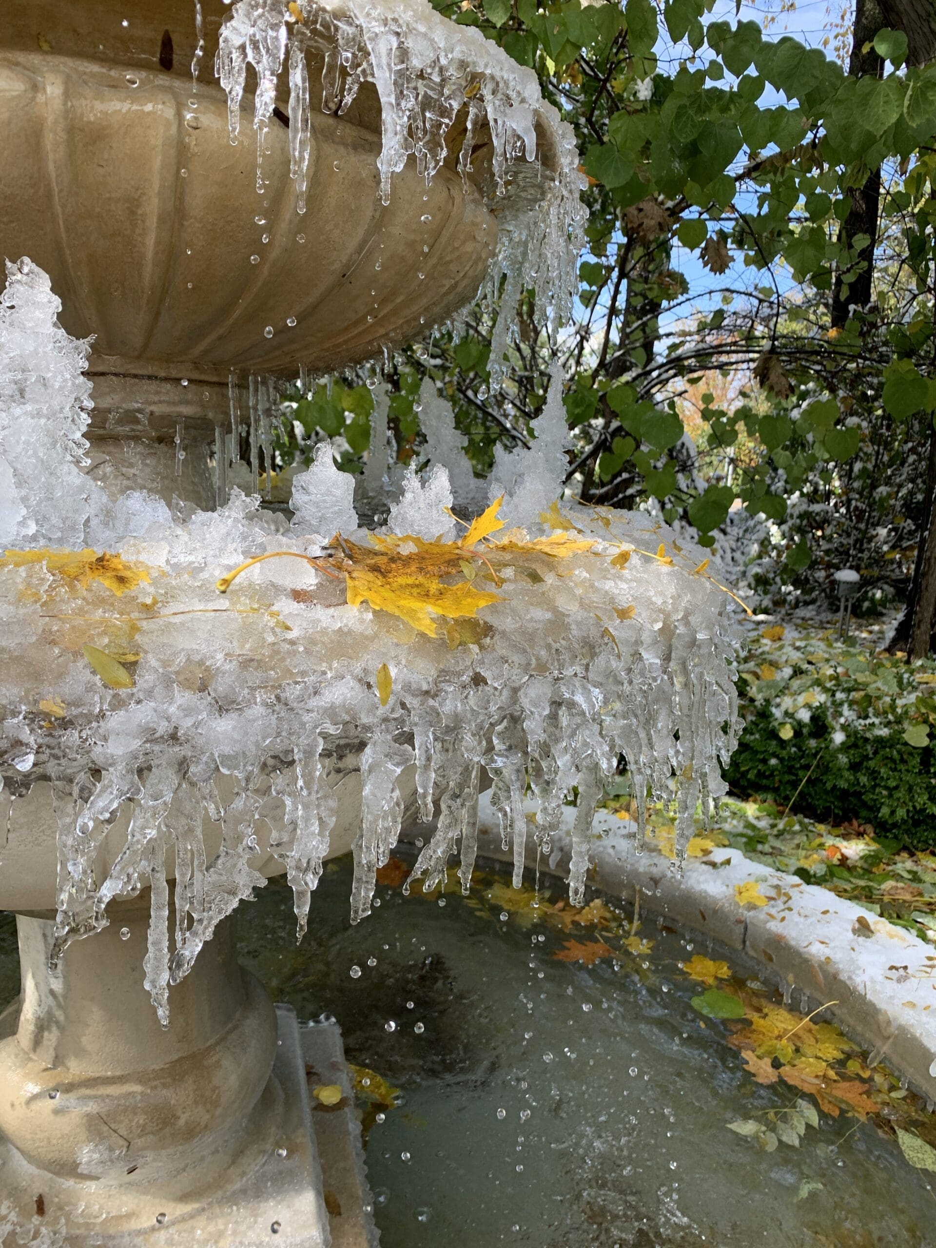 Spring lawn care checklist: Fertilization and mowing tips for Chicagoland lawns as temperatures warm up